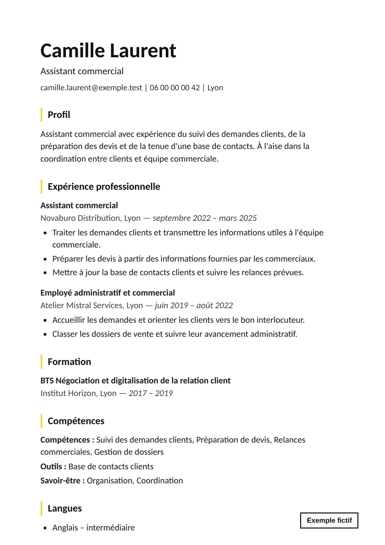 Exemple fictif de CV après optimisation